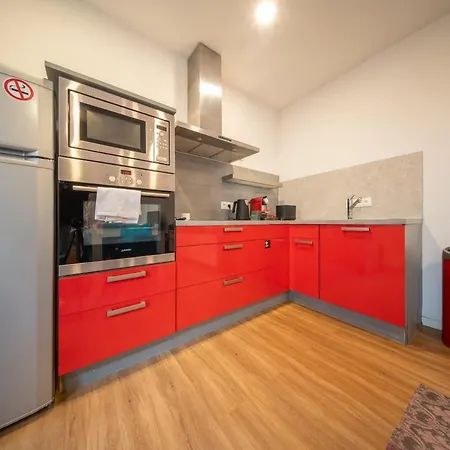Le Big Red Triplex Near Basel En Hyper Centre *